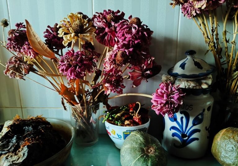 Flowers I Have Regretted Buying
