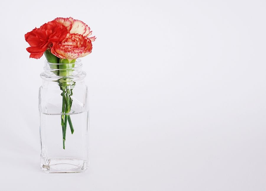 flowers glass jar