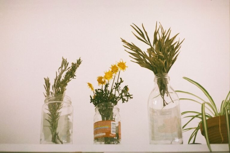 A Jam Jar Versus a Big Vase: How I Arrange Differently