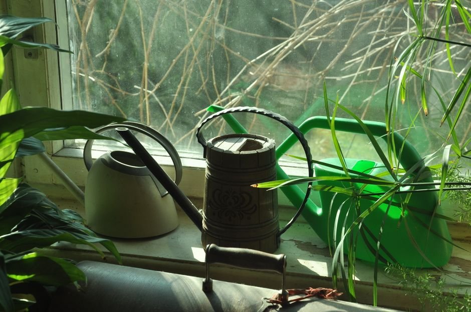 watering can balcony