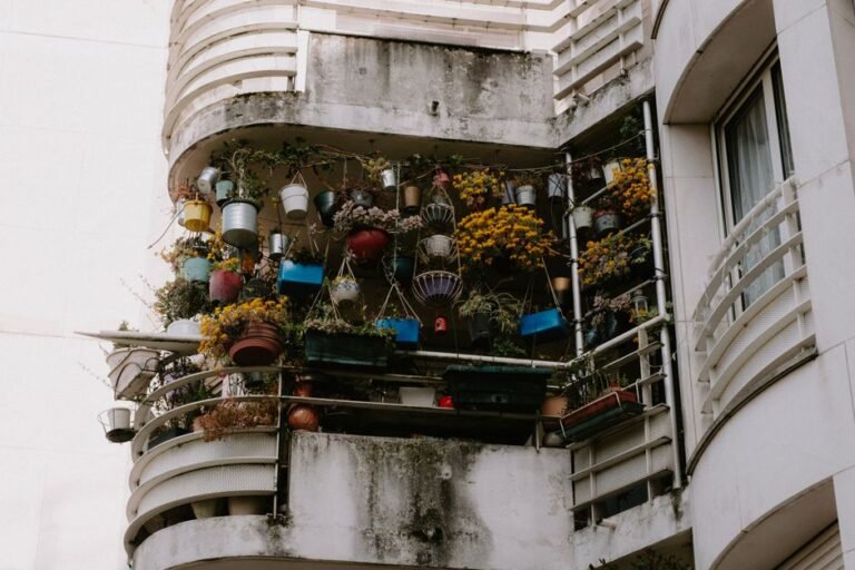 What I’d Grow Again on the Balcony, and What I Wouldn’t