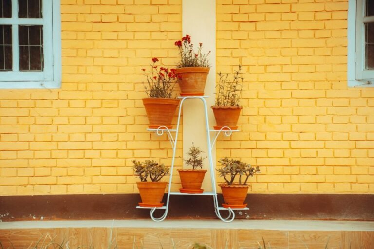 The Awkward Stretch Between Two Flower Seasons